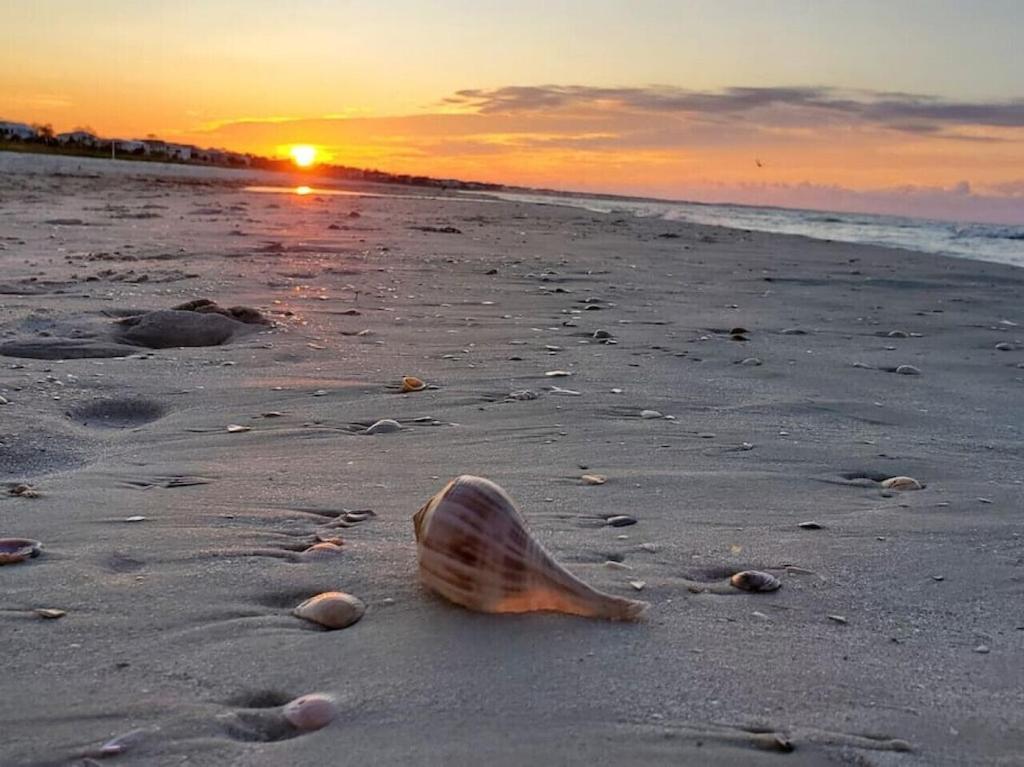 Tortuga Tillys Cape San Blas Eksteriør bilde