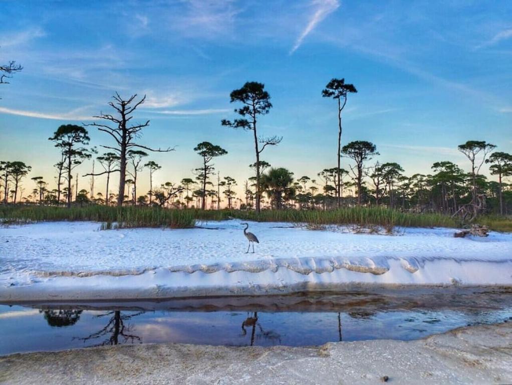 Tortuga Tillys Cape San Blas Eksteriør bilde