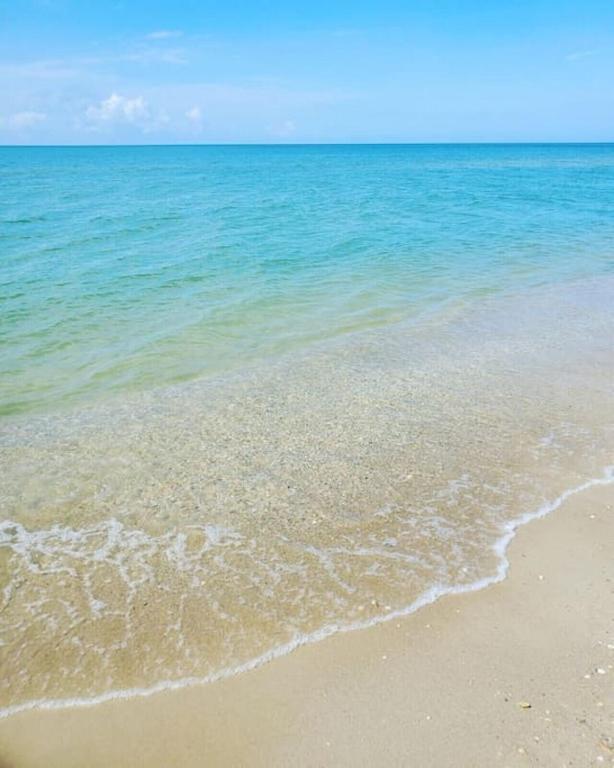 Tortuga Tillys Cape San Blas Eksteriør bilde